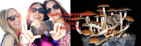 мяу мяу мука Бронницы