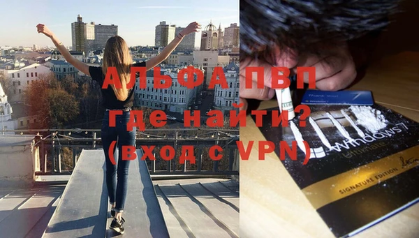 Альфа ПВП Бугульма