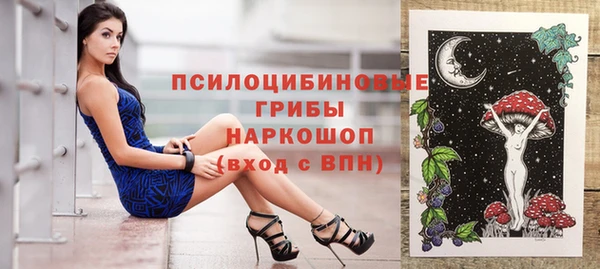 Альфа ПВП Бугульма