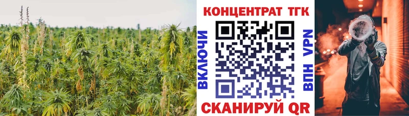 Купить где Сольцы Дистиллят ТГК гашишное масло